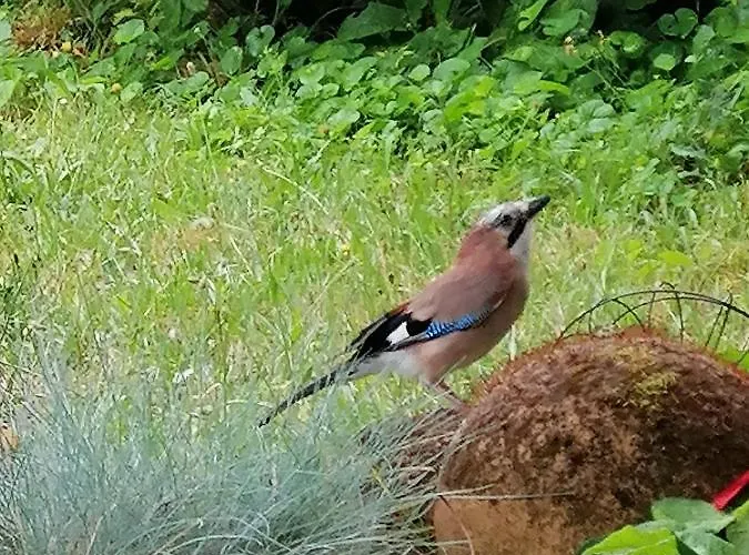 Maison De Charme * Bordeaux