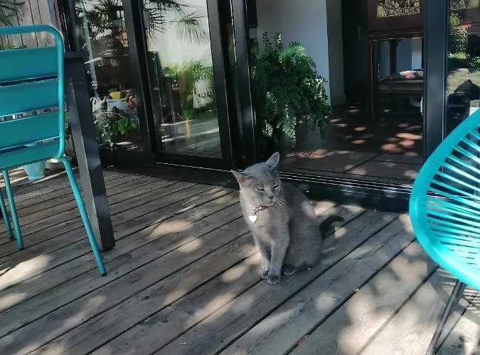 Maison De Charme Holiday home